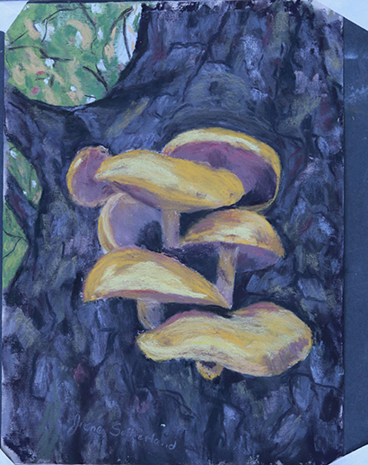Tree Gold - Mushrooms 5